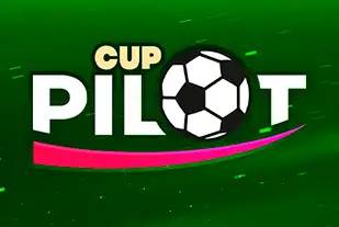 Pilot Cup